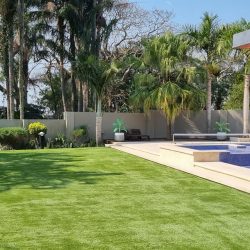 The Grass Warehouse