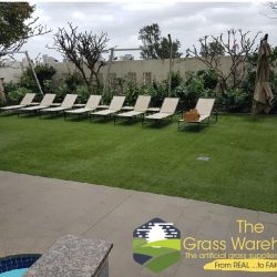 The Grass Warehouse
